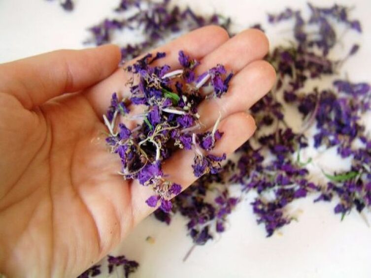 Medicinal products are prepared from dried flowers of hearth